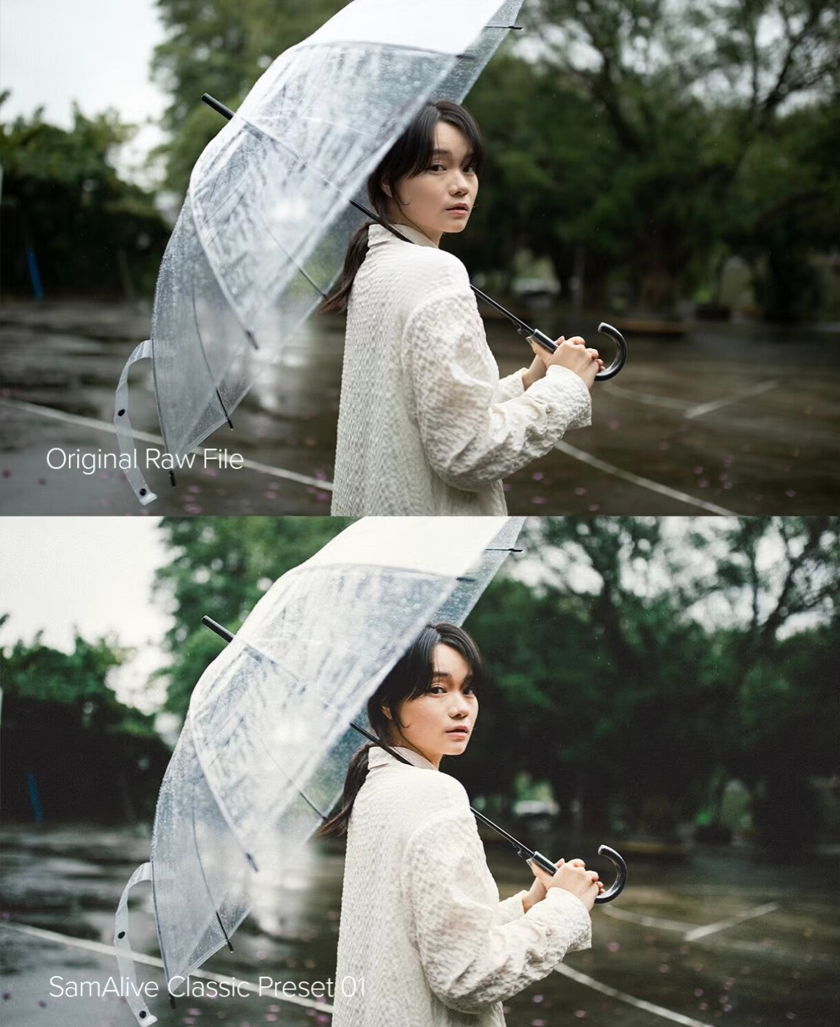 FREE DOWNLOAD 🎨 LIGHTROOM PRESET | SamAlive Original 2025 – 8 Cinematic Presets 📷✨ [Michigo Studio]