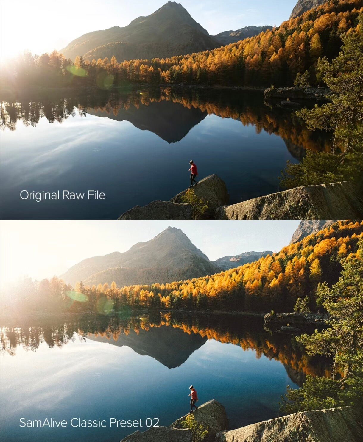 FREE DOWNLOAD 🎨 LIGHTROOM PRESET | SamAlive Original 2025 – 8 Cinematic Presets 📷✨ [Michigo Studio]