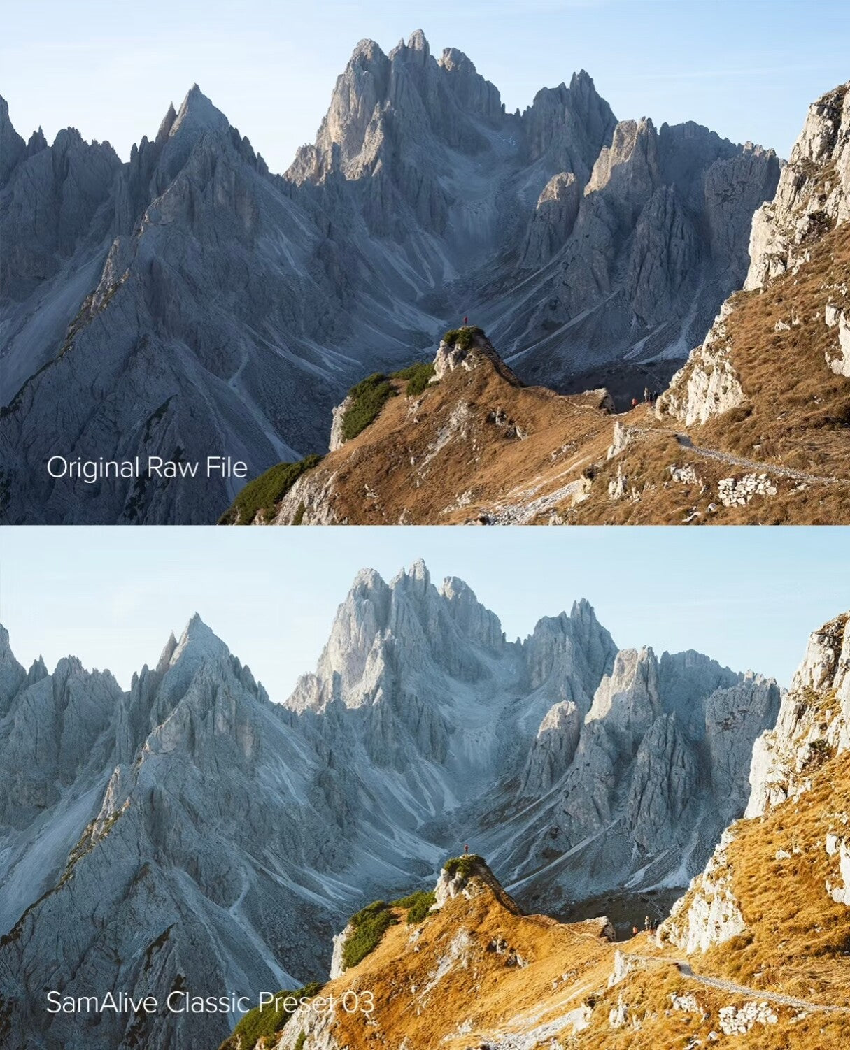 FREE DOWNLOAD 🎨 LIGHTROOM PRESET | SamAlive Original 2025 – 8 Cinematic Presets 📷✨ [Michigo Studio]