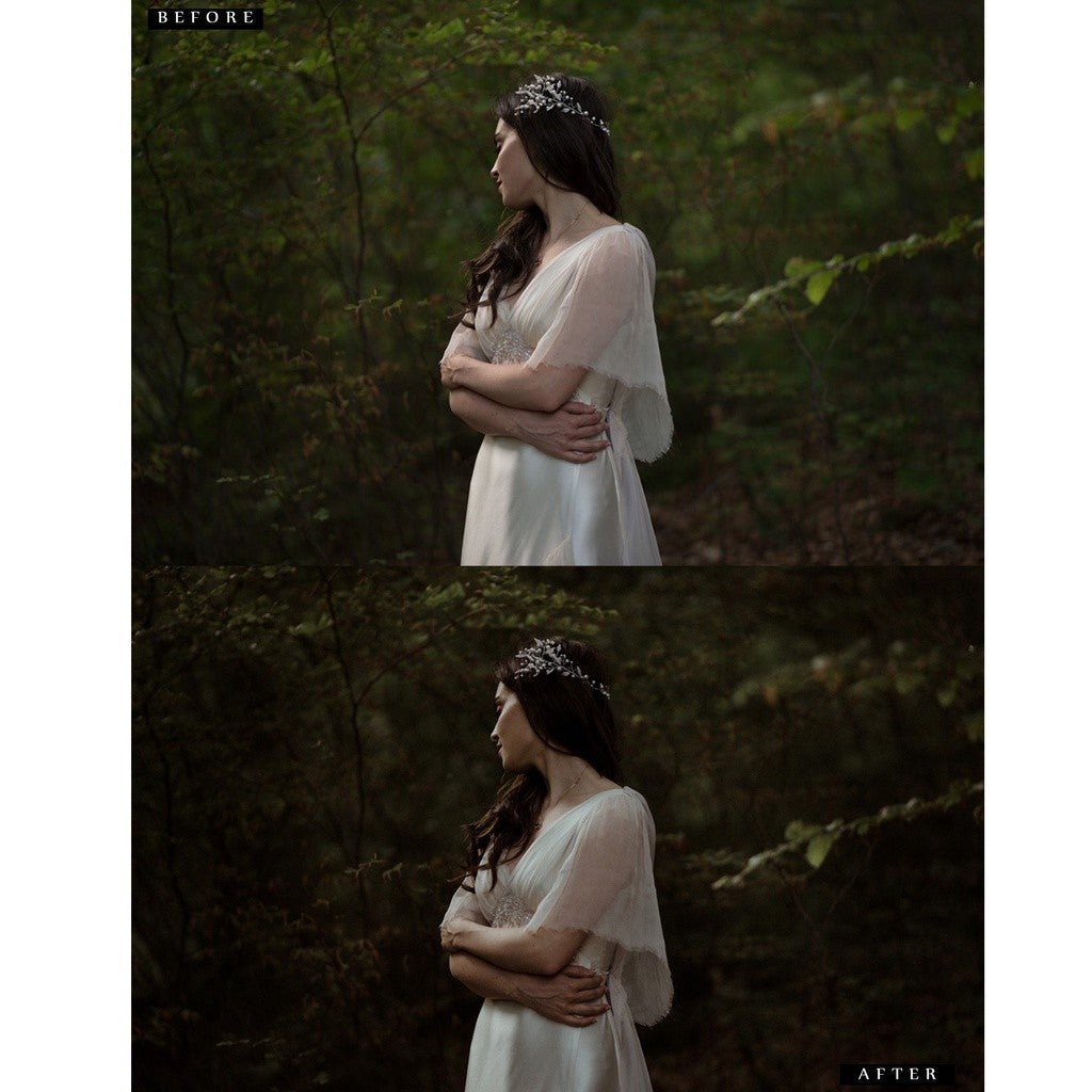 Emotive Lightroom Preset Desktop IOS Android[ MICHIGO STUDIO ] - MICHIGO STUDIO