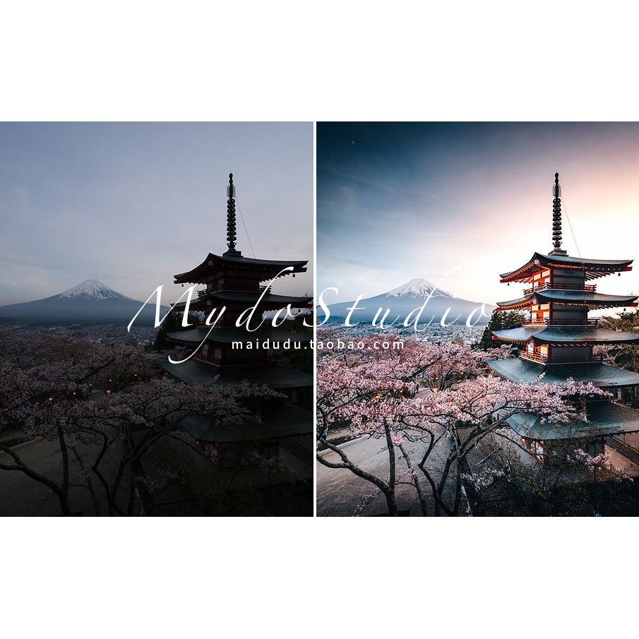 🌆 Fashion Youtuber LUT Pack 💄 Inspired by Yamaguchi Koki | PS / LR / PR / FCPX [ MICHIGO STUDIO ] - MICHIGO STUDIO