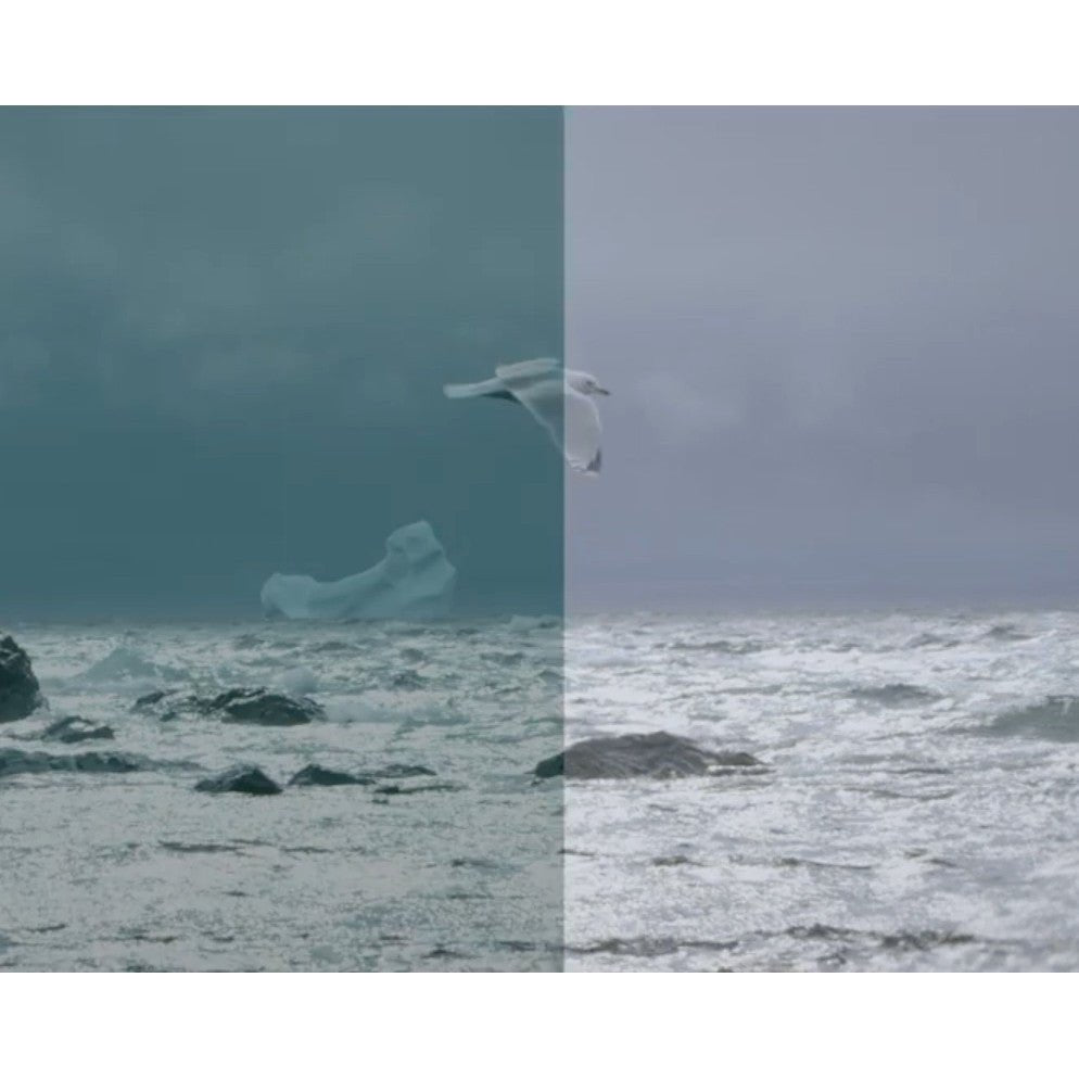 🎨 FCPX Color Grading Plugin | mLUT – Batch LUT Preview, Import & Layer Adjustment Effects - MICHIGO STUDIO