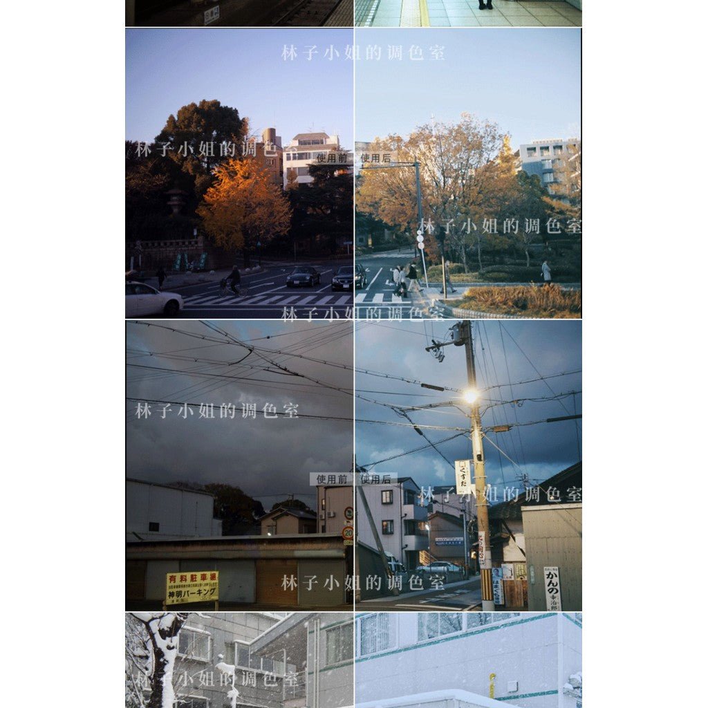 🎞️ Film - Like LUTs – Japanese Fresh Style Portraits for PR/LR/Davinci - MICHIGO STUDIO