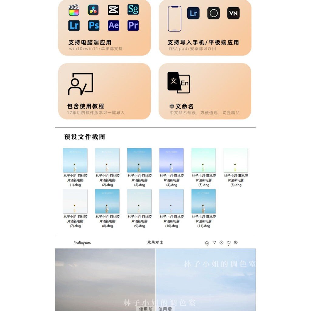 🎞️ Film - Like LUTs – Japanese Fresh Style Portraits for PR/LR/Davinci - MICHIGO STUDIO