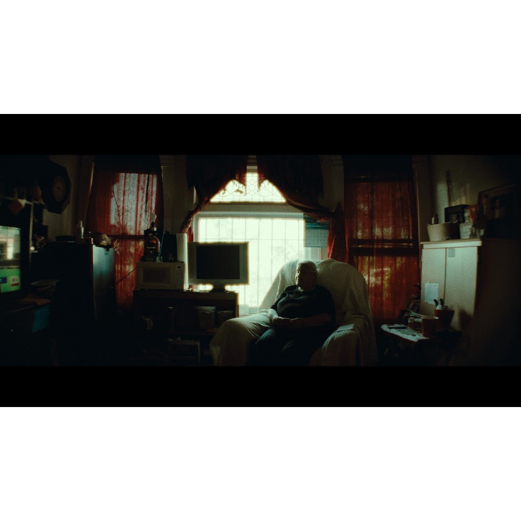 FilmVision V1 Powergrade + LUT 16/35mm Film Look DaVinci Resolve[ MICHIGO STUDIO ] - MICHIGO STUDIO