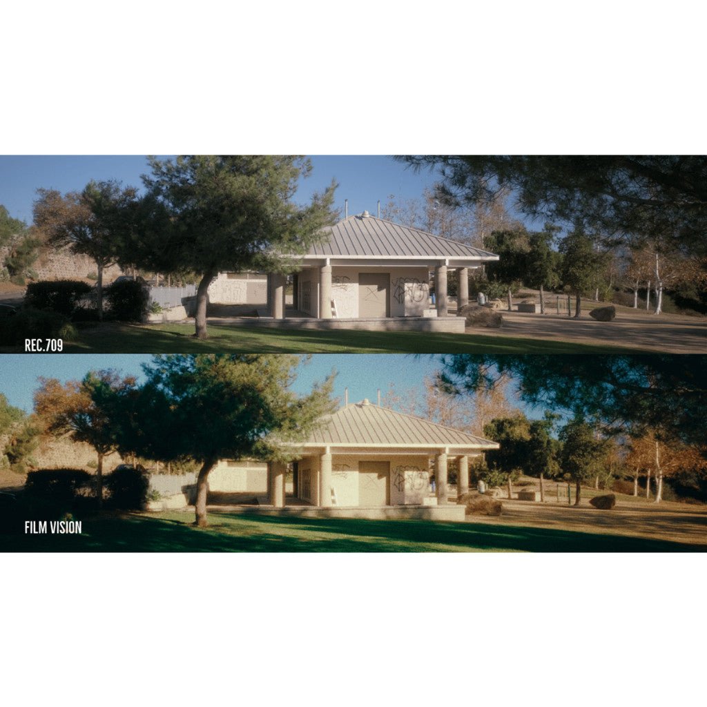 FilmVision V1 Powergrade + LUT 16/35mm Film Look DaVinci Resolve[ MICHIGO STUDIO ] - MICHIGO STUDIO