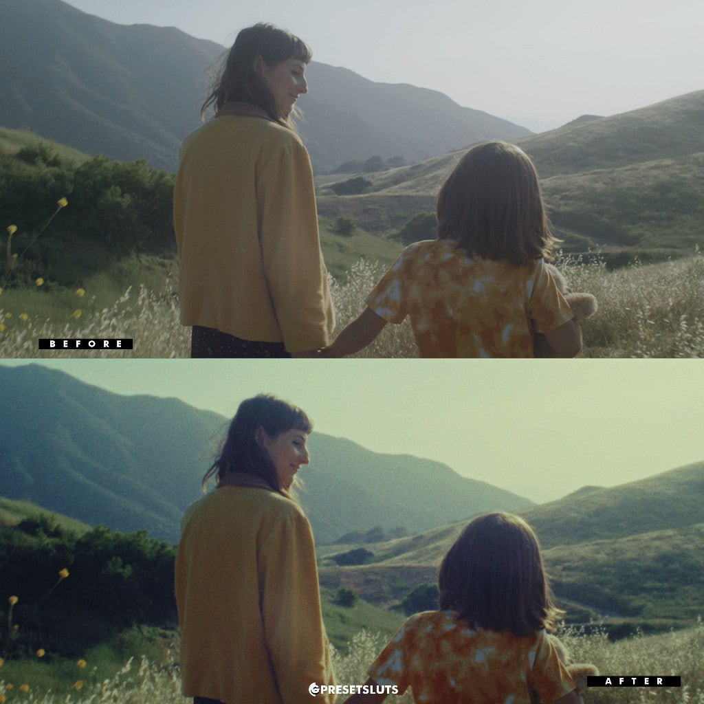 FilmVision V2 LUT Pack & Powergrade (Premiere Pro, Final Cut, Davinci Resolve) 6715[ MICHIGO STUDIO ] - MICHIGO STUDIO