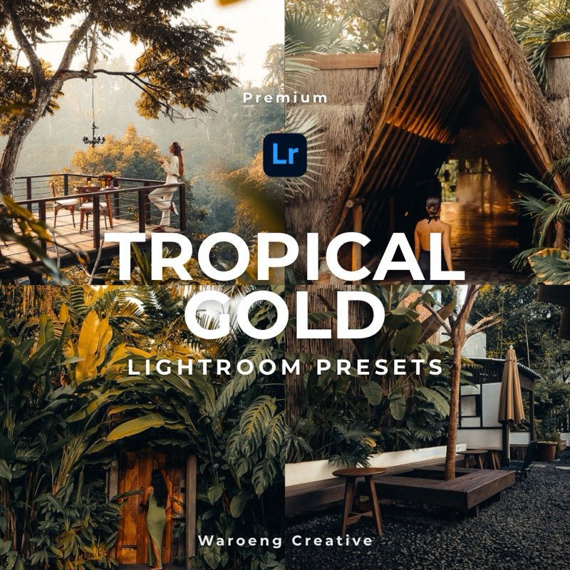 Filter Foto Preset Aesthetic Tropical Gold | Lightroom Untuk iOS Android Desktop PC[ MICHIGO STUDIO ] - MICHIGO STUDIO
