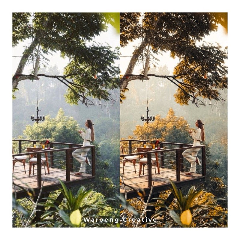 Filter Foto Preset Aesthetic Tropical Gold | Lightroom Untuk iOS Android Desktop PC[ MICHIGO STUDIO ] - MICHIGO STUDIO