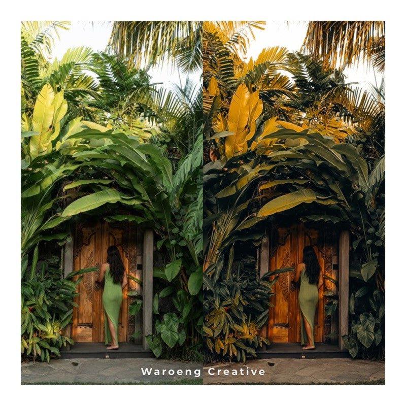 Filter Foto Preset Aesthetic Tropical Gold | Lightroom Untuk iOS Android Desktop PC[ MICHIGO STUDIO ] - MICHIGO STUDIO