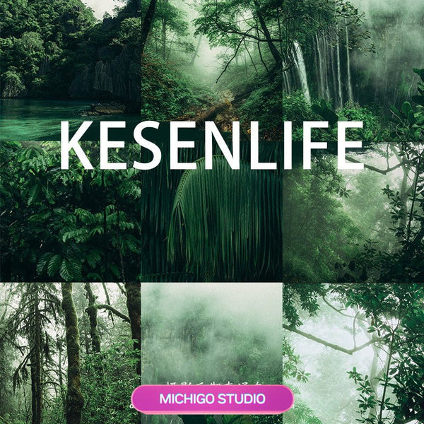 📸 Forest Atmosphere Green Plants – Lightroom Preset (PR, FCPX, DaVinci LUT, Mobile, PS)