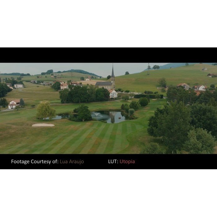 🎞️ FUJIFILM PHANTOM LUTs | ARRI Film Look for X - H2S F - Log2 🎬 - MICHIGO STUDIO