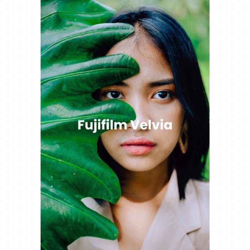 FUJIFILM TONE PRESET LIGHTROOM iOS ANDROID DESKTOP[ MICHIGO STUDIO ] - MICHIGO STUDIO