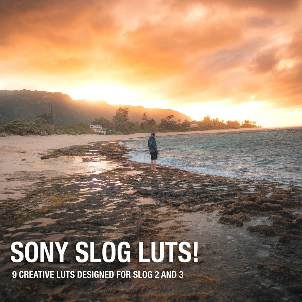 🎞️ Henbu Genesis LUT Pack – Creative Sony SLOG2/SLOG3 Color Presets for DaVinci / PR / FCPX / PS 🎬 - MICHIGO STUDIO