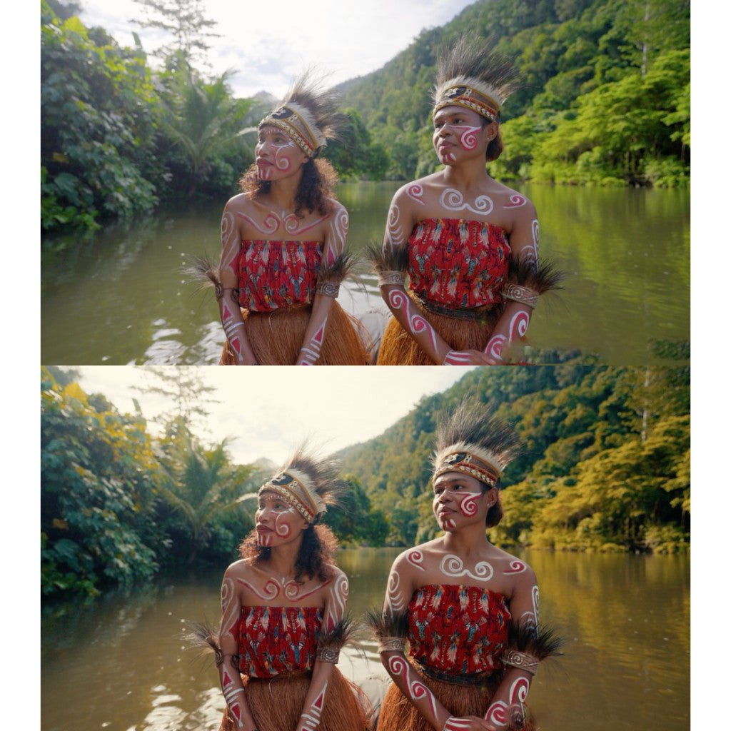 IMMERSION LUT 2.0 Collection Sam Newton Lut Pack[ MICHIGO STUDIO ] - MICHIGO STUDIO