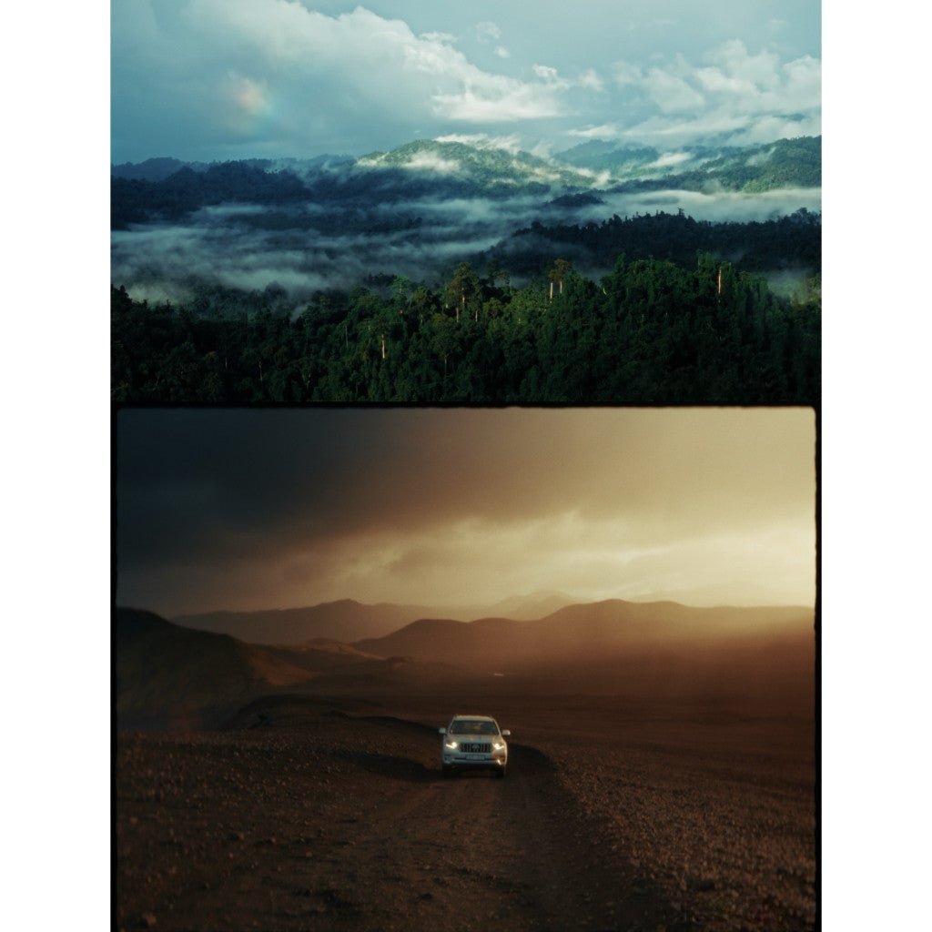 IMMERSION LUT 2.0 Collection Sam Newton Lut Pack[ MICHIGO STUDIO ] - MICHIGO STUDIO