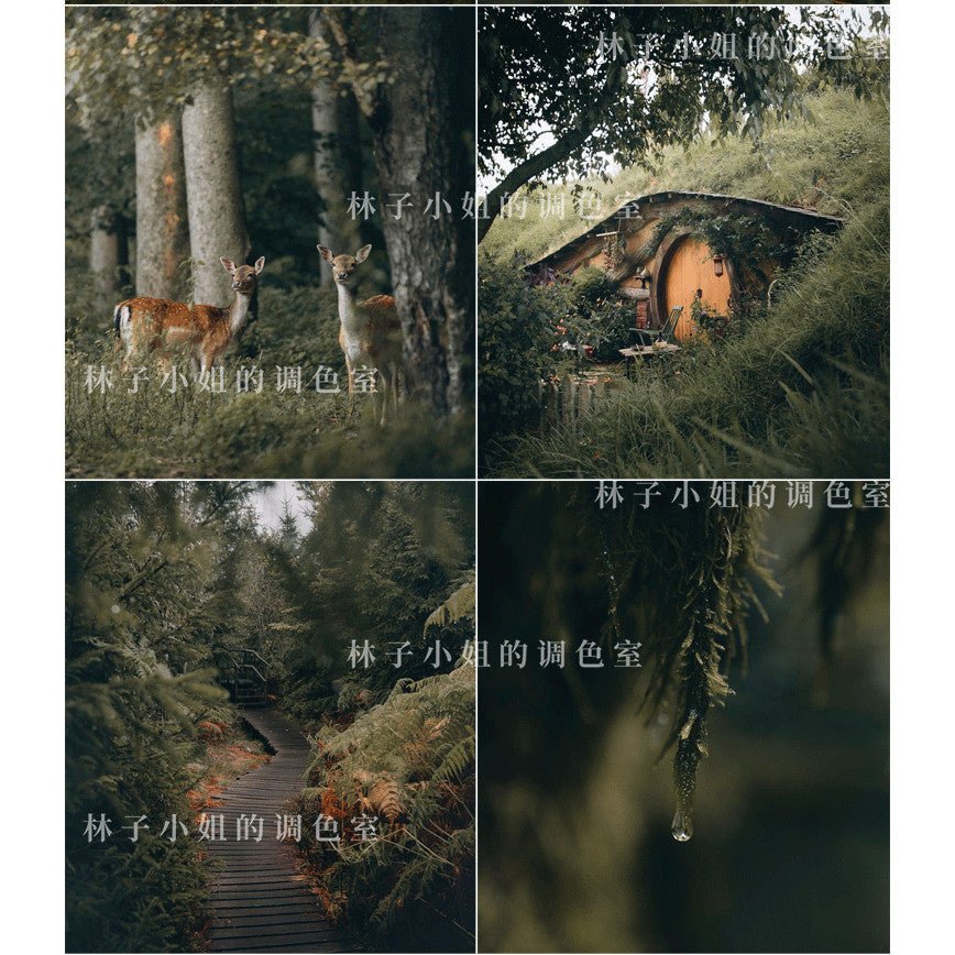 🌲 INS Outdoor Forest LUT Pack | PS, LR, PR, FCPX Mobile Filters - MICHIGO STUDIO