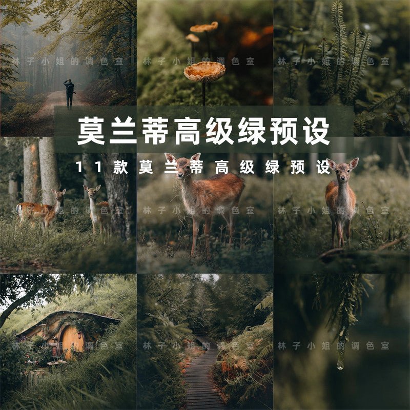 🌲 INS Outdoor Forest LUT Pack | PS, LR, PR, FCPX Mobile Filters - MICHIGO STUDIO