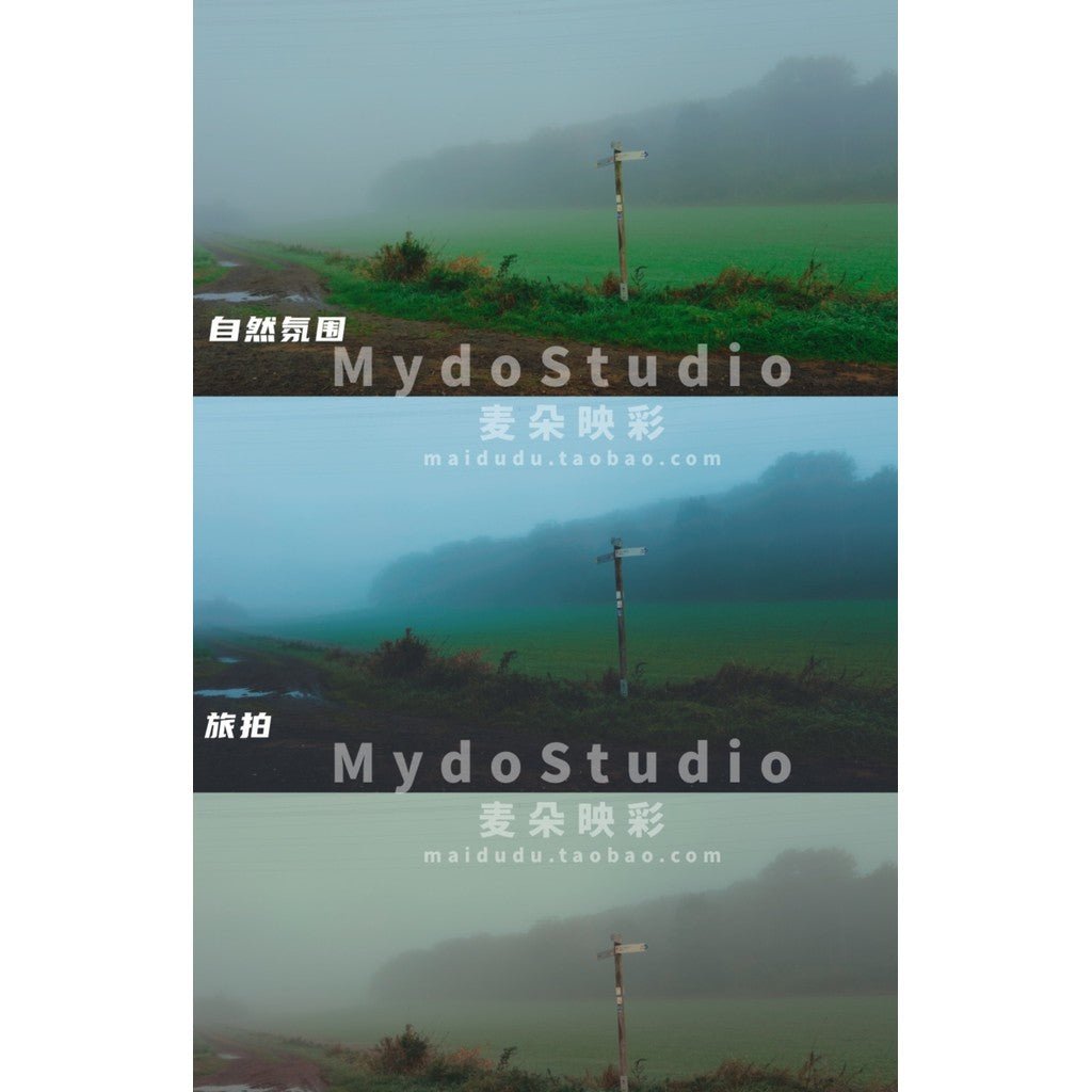 📱 iPh0ne Creative LUT Pack 🎨 Blackmagic Cam Compatible | CapCut / DaVinci / PR [ MICHIGO STUDIO ] - MICHIGO STUDIO