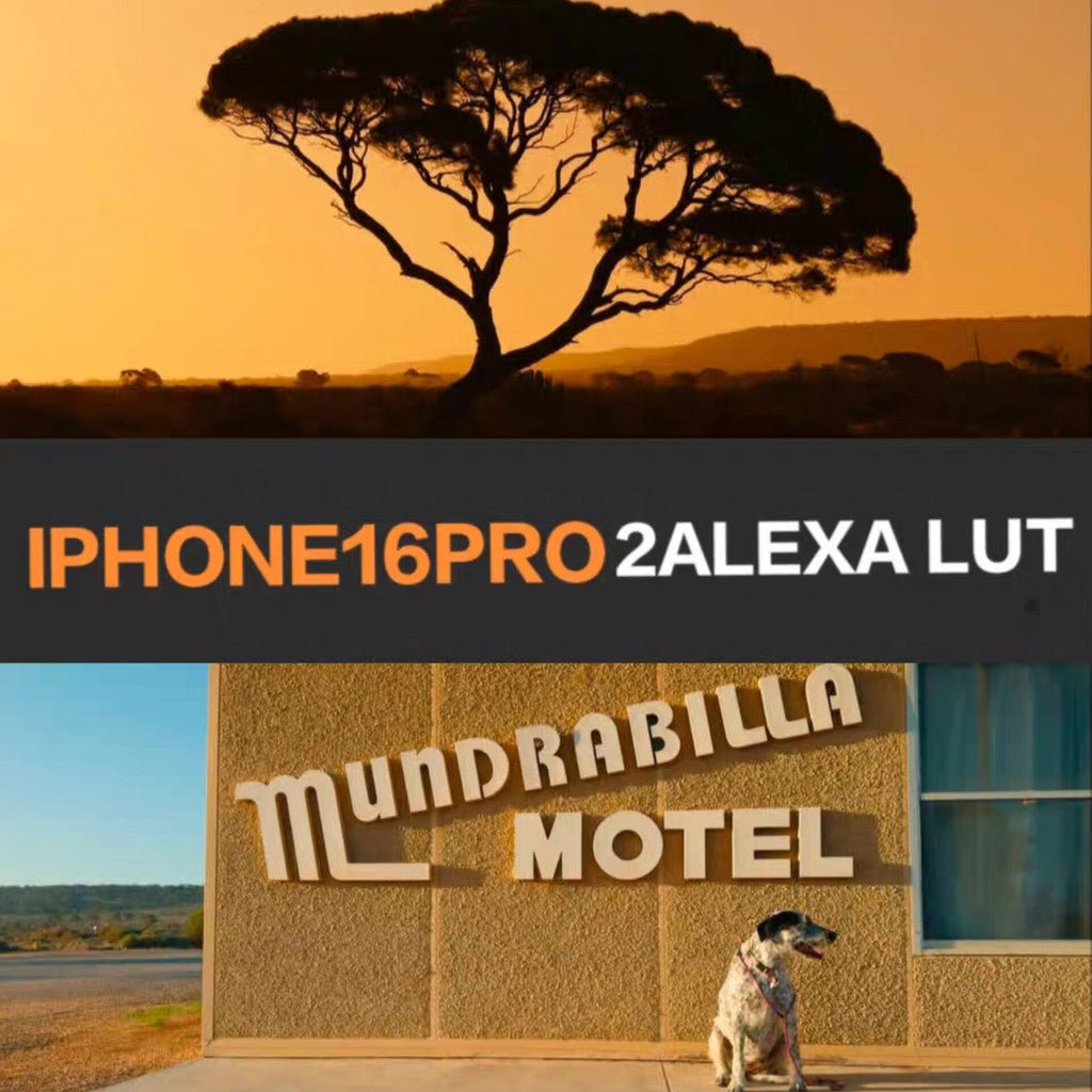 iPhone16 Pro转阿莱LUT，JUAN MELARA iPhone16 Pro to Alexa LUT[ MICHIGO STUDIO ] - MICHIGO STUDIO