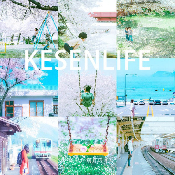 📸 Japanese Anime Soft Cherry Blossom – Lightroom Preset (PR, Mobile, FCPX, DaVinci LUT, Portrait, PS, VN)