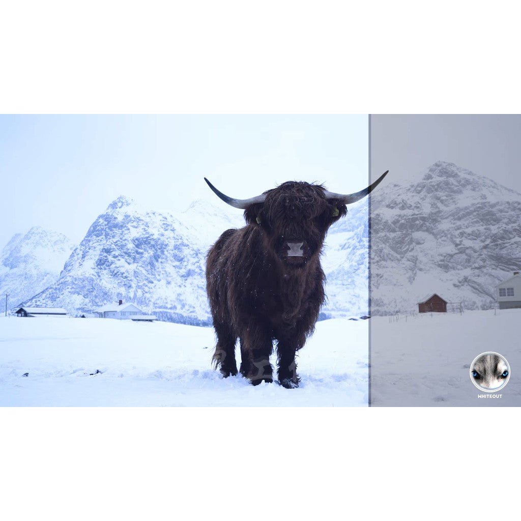 🌍 JR ALLI Cinematic LUT Pack 🎞️ Vlog / Travel / Lifestyle Color Grading Presets - MICHIGO STUDIO