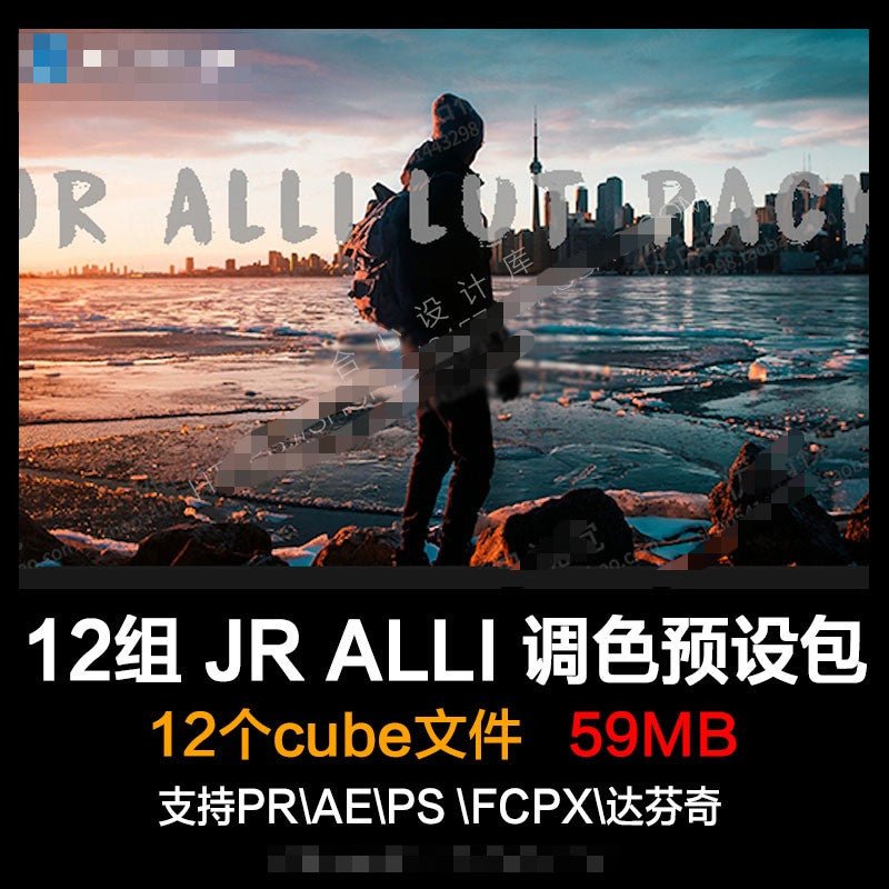 🎞️ JR ALLI Vlog LUT Pack – Cinematic Travel Color Presets for PR / AE / FCPX 🌍📽️ - MICHIGO STUDIO
