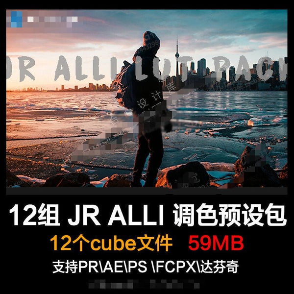🎞️ JR ALLI Vlog LUT Pack – Cinematic Travel Color Presets for PR / AE / FCPX 🌍📽️