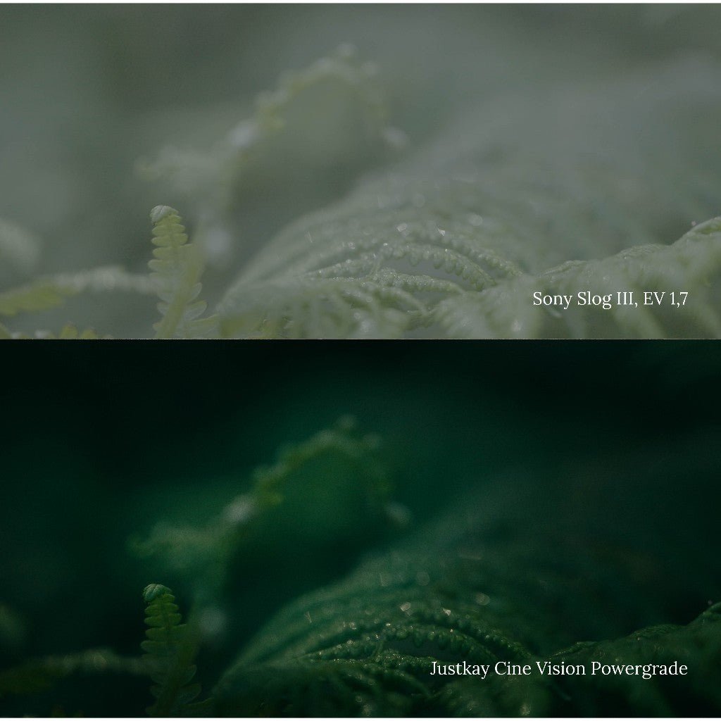 JustKay Cine Vision Powergrade + LUTs Film Character Look DAVINCI RESOLVE ADOBE PREMIERE[ MICHIGO STUDIO ] - MICHIGO STUDIO