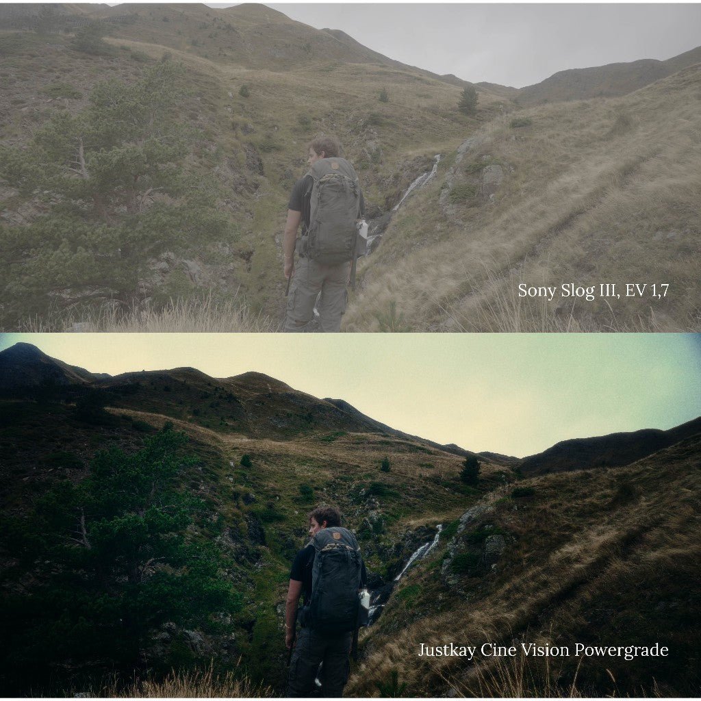 JustKay Cine Vision Powergrade + LUTs Film Character Look DAVINCI RESOLVE ADOBE PREMIERE[ MICHIGO STUDIO ] - MICHIGO STUDIO