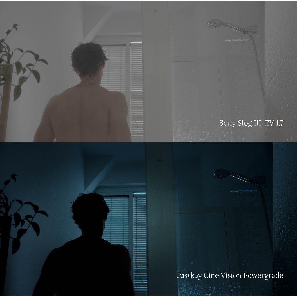 JustKay Cine Vision Powergrade + LUTs Film Character Look DAVINCI RESOLVE ADOBE PREMIERE[ MICHIGO STUDIO ] - MICHIGO STUDIO