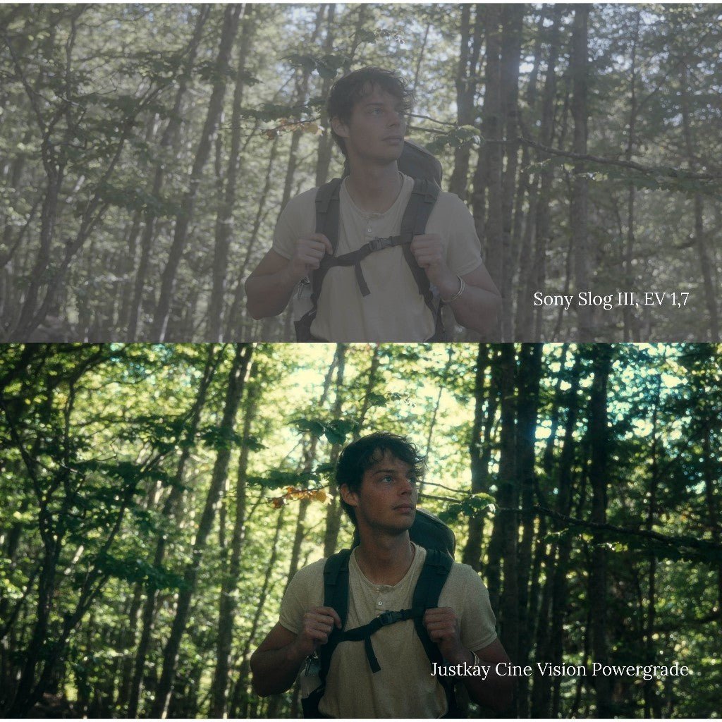 JustKay Cine Vision Powergrade + LUTs Film Character Look DAVINCI RESOLVE ADOBE PREMIERE[ MICHIGO STUDIO ] - MICHIGO STUDIO