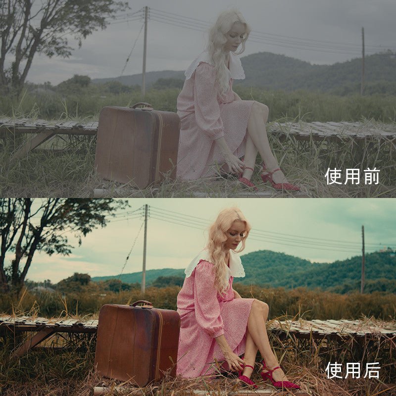🎞️ K83 Kodak 2383 LUTs | Cinematic Film Look Color Grading 🎬 - MICHIGO STUDIO