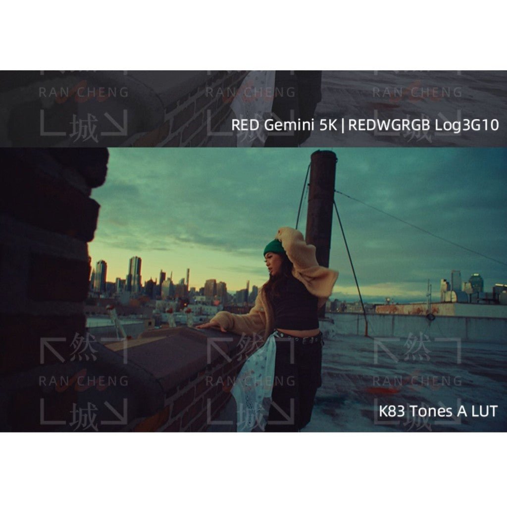 🎞️ K83 Kodak 2383 LUTs | Cinematic Film Look Color Grading 🎬 - MICHIGO STUDIO
