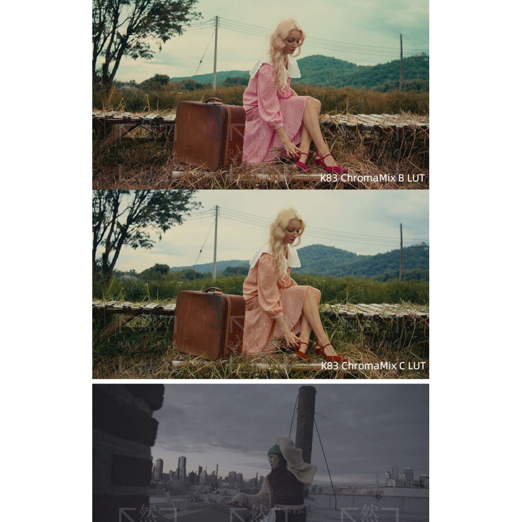 🎞️ K83 Kodak 2383 LUTs | Cinematic Film Look Color Grading 🎬 - MICHIGO STUDIO