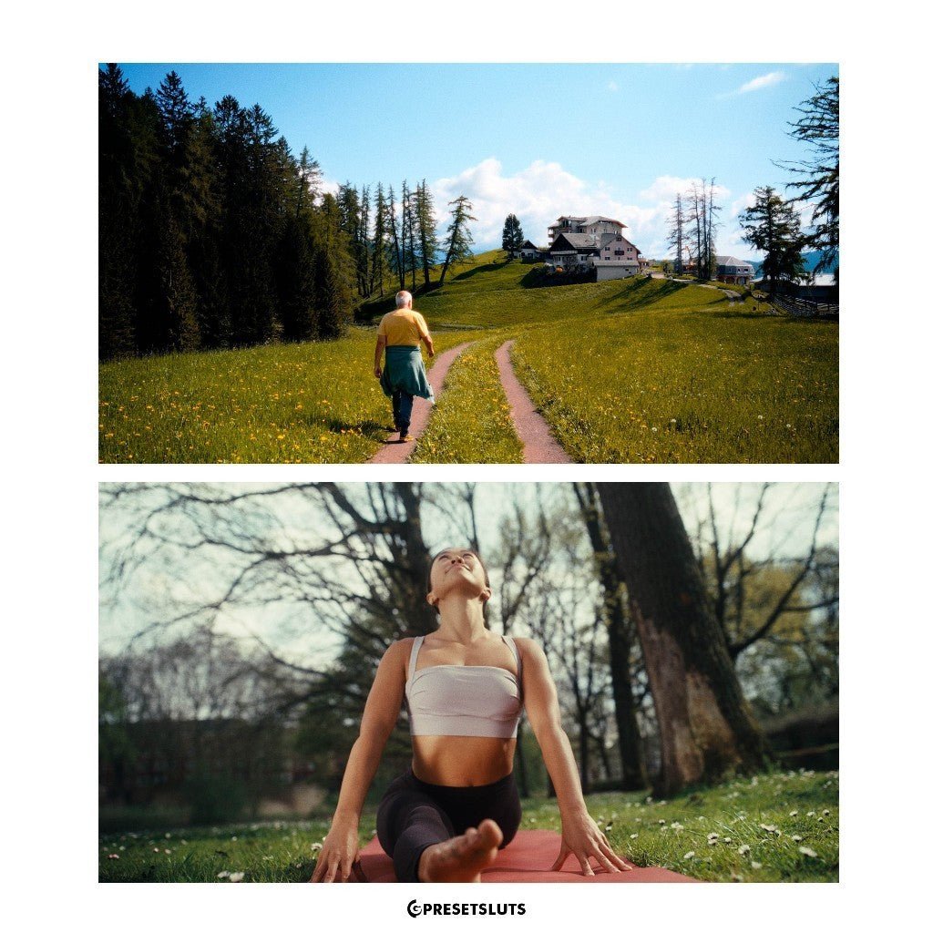 Kodak Film Inspired Luts | ADOBE PREMIERE DAVINCI RESOLVE[ MICHIGO STUDIO ] - MICHIGO STUDIO