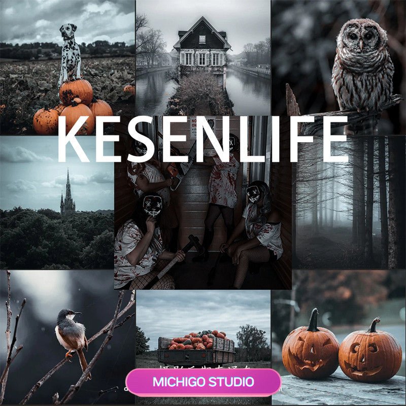 📸 LIGHTROOM PRESET | Halloween Dark Moody–Lightroom Preset (PR, FCPX, DaVinci LUT, Mobile, LR, PS) | MICHIGO STUDIO - MICHIGO STUDIO