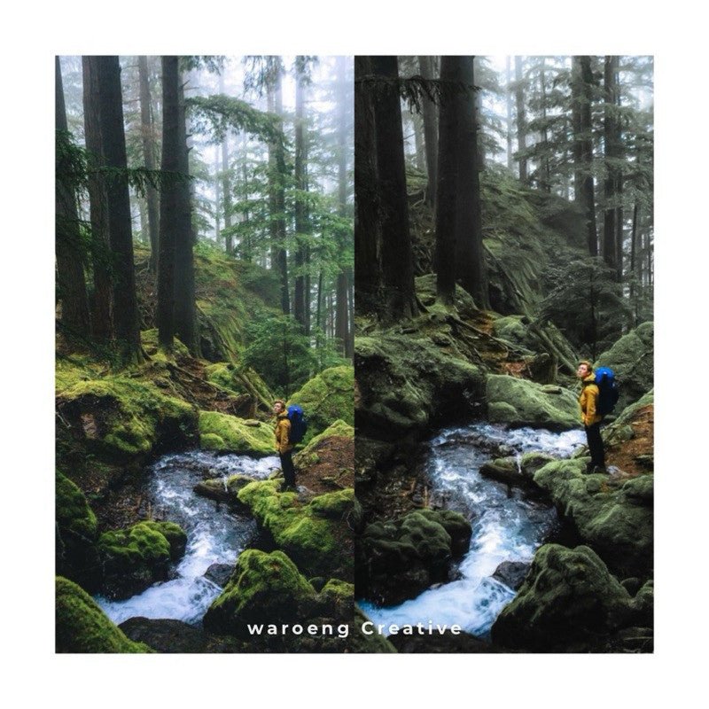 Lightroom Preset | Preset Dark Green | Lightroom Untuk iOS Android dan Desktop[ MICHIGO STUDIO ] - MICHIGO STUDIO