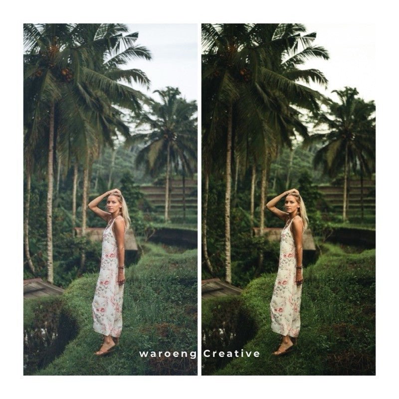Lightroom Preset | Preset Morning Mist | Lightroom Untuk iOS Android dan Desktop[ MICHIGO STUDIO ] - MICHIGO STUDIO