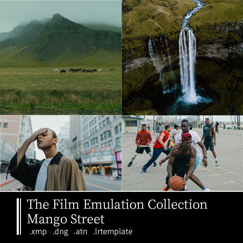 LR 665 | 🥭 Mango Street Film Simulation Kodak & Fuji Film Lightroom Photo Presets - MICHIGO STUDIO