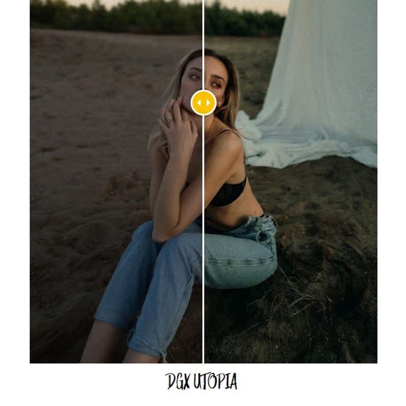 LR | 📷 Dominique DGX Lightroom Presets Photo Color Grading - MICHIGO STUDIO