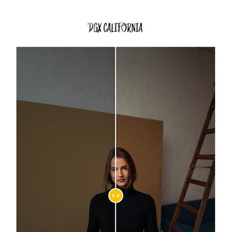 LR | 📷 Dominique DGX Lightroom Presets Photo Color Grading - MICHIGO STUDIO
