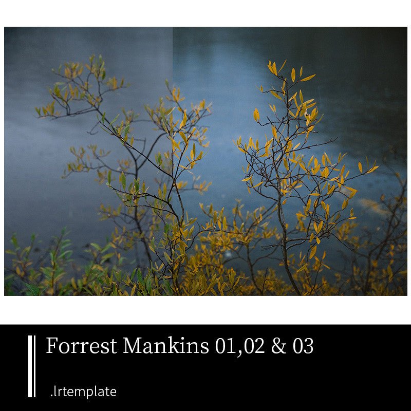 LR | 📷 Forrest Mankins Lightroom Presets Outdoor Travel Adventure Forest Photography - MICHIGO STUDIO