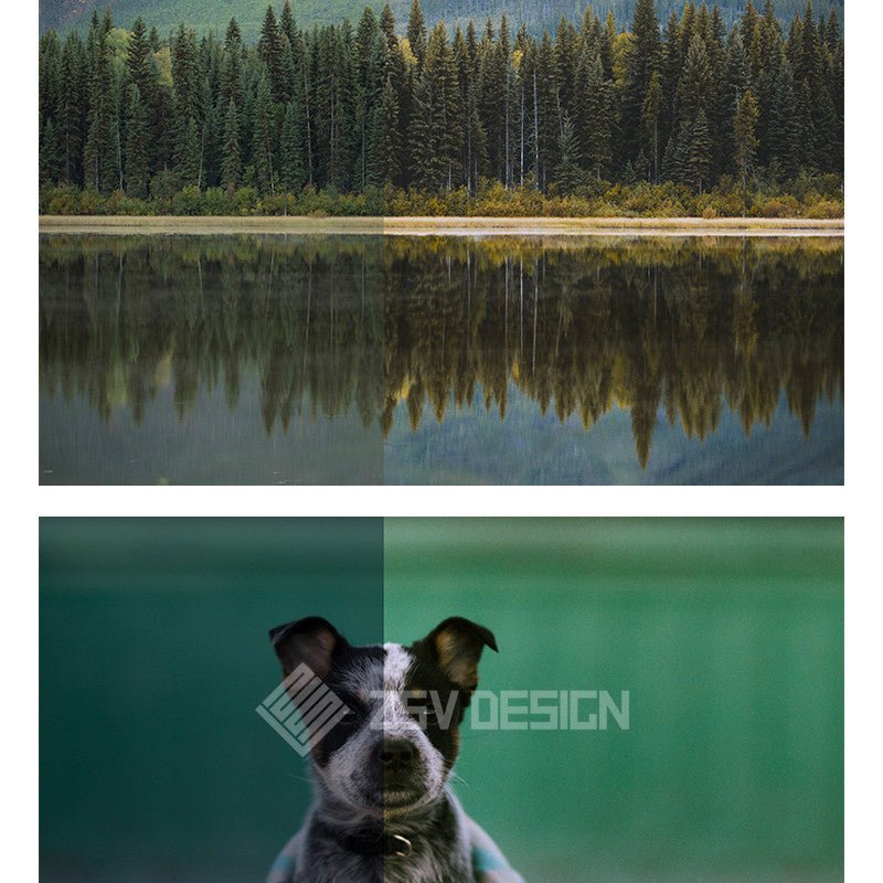LR | 📷 Forrest Mankins Lightroom Presets Outdoor Travel Adventure Forest Photography - MICHIGO STUDIO