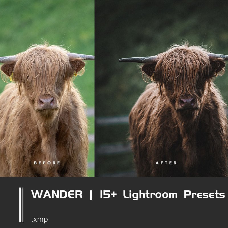 🌲 **LR Landscape & Nature Forest Outdoor Photography Presets – Lightroom Filters** 📸✨ - MICHIGO STUDIO