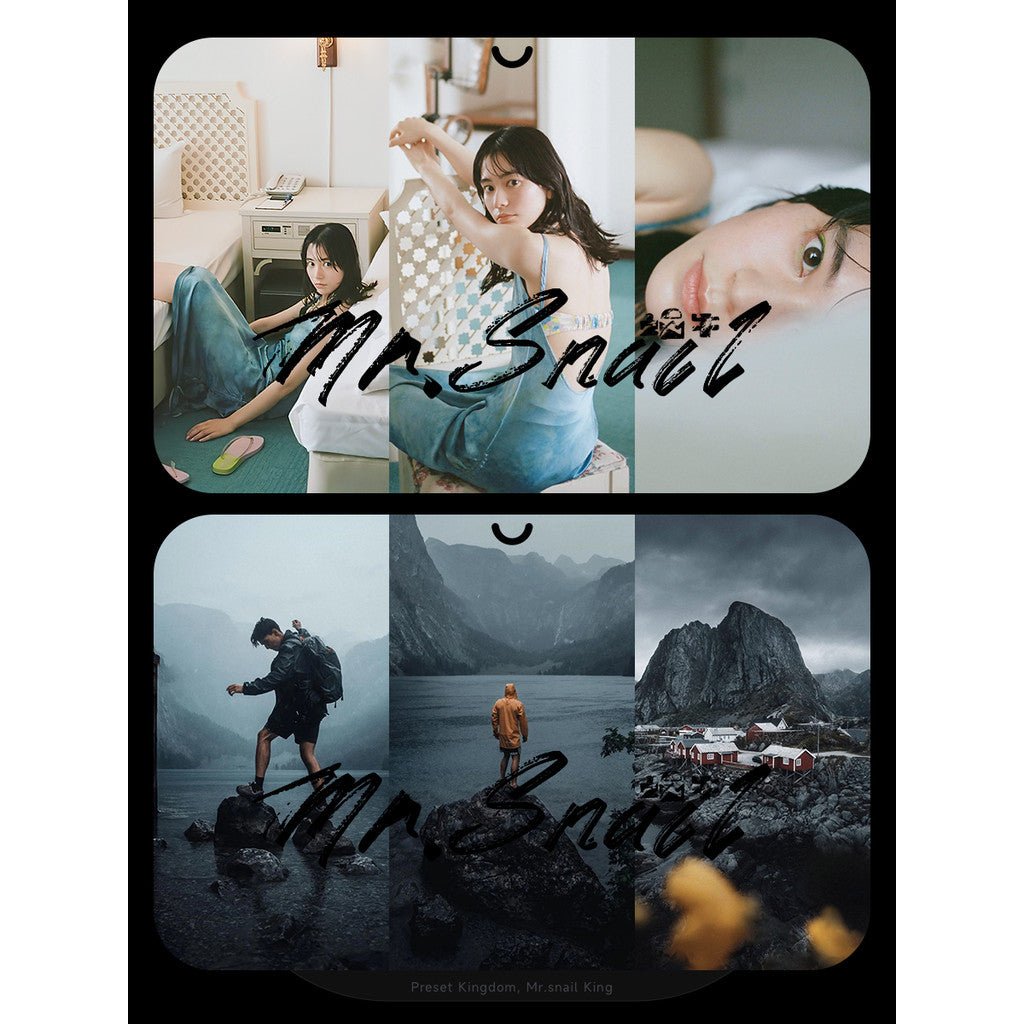 📸 LR Portrait Preset Filter - Lightroom Preset (PS, PR, Capcut, DaVinci, Mobile) - MICHIGO STUDIO