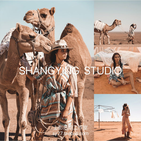 📸 LR Preset Desert Travel Landscape – Lightroom Preset (Mobile, FCPX, PS, PR, LUT)