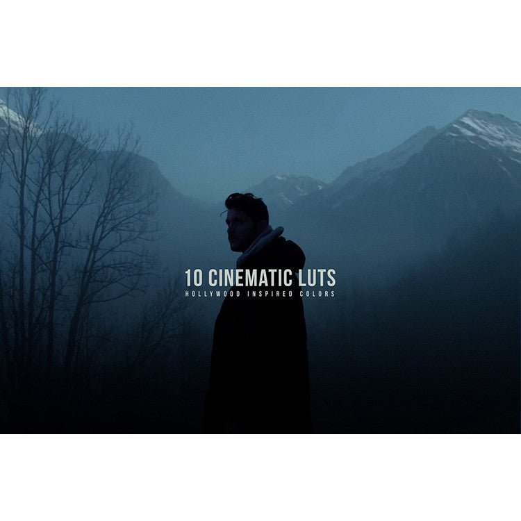 🎨 LUT | 10 K1 - Cinematic LUTs 02 | Color Grading LUT Presets for LOG Photos & Videos - MICHIGO STUDIO