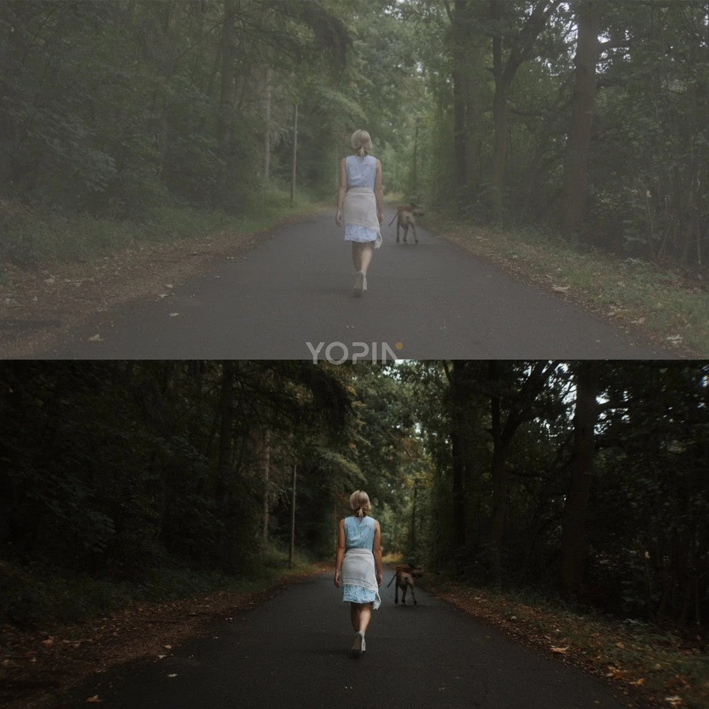 LUT | 27 Canon R5 R6 C - Log3 Cinematic LUTs 📸🎬 - MICHIGO STUDIO
