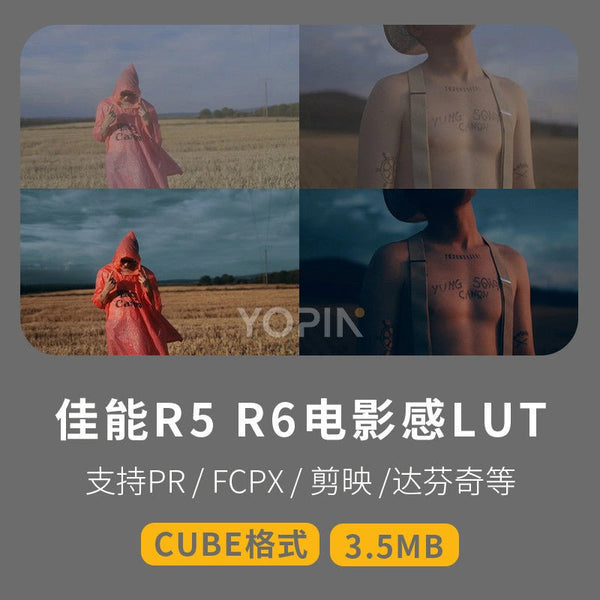 LUT | 27 Canon R5 R6 C-Log3 Cinematic LUTs 📸🎬